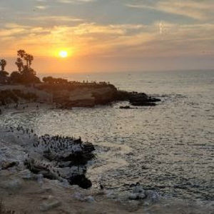 Meet your Posher, Ev